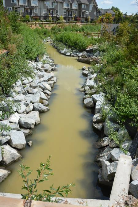 Sediment in Byrne Creek in Burnaby, BC