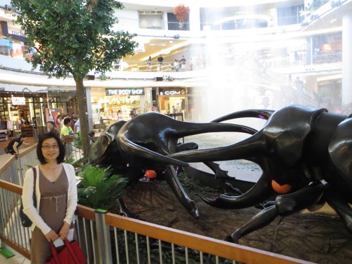 Giant Bugs at Aberdeen Centre