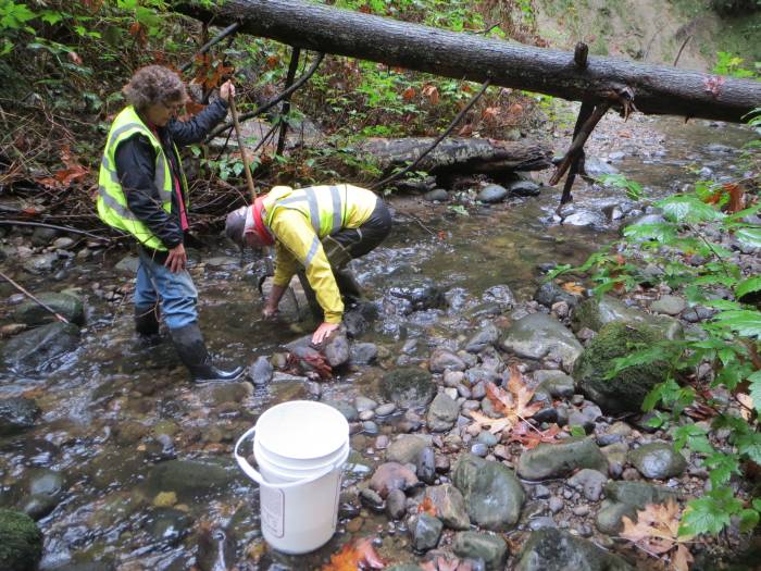 byrne_creek_bug_sampling_20141016