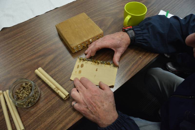 Mason Bee Workshop