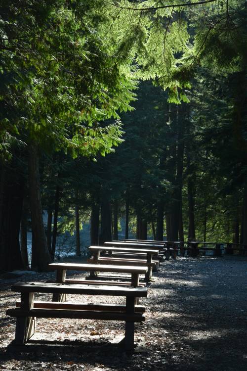 Alice Lake Provincial Park