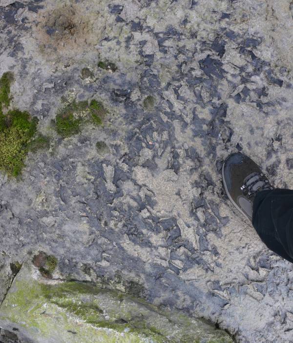 Strange black substance coating Byrne Creek spillway