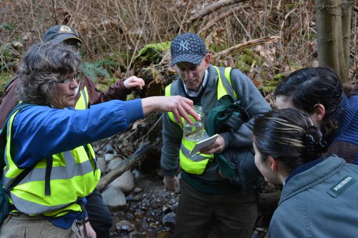 Byrne Creek Fish Survey March 8, 2015
