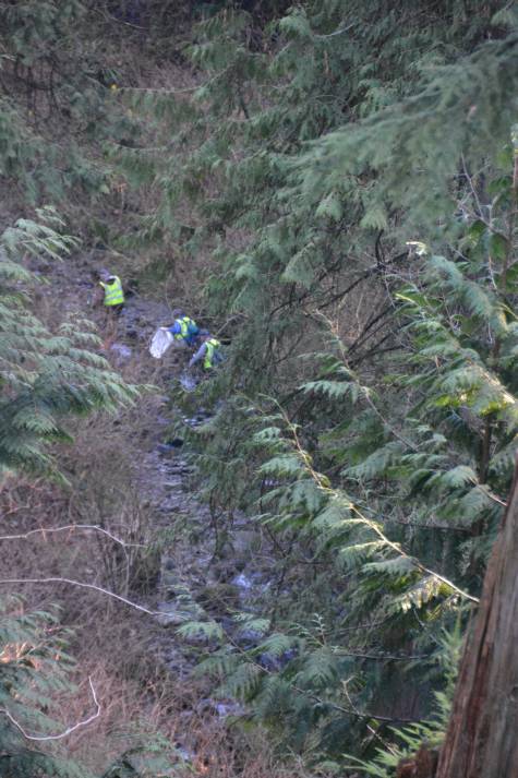 Byrne Creek Fish Survey March 8, 2015