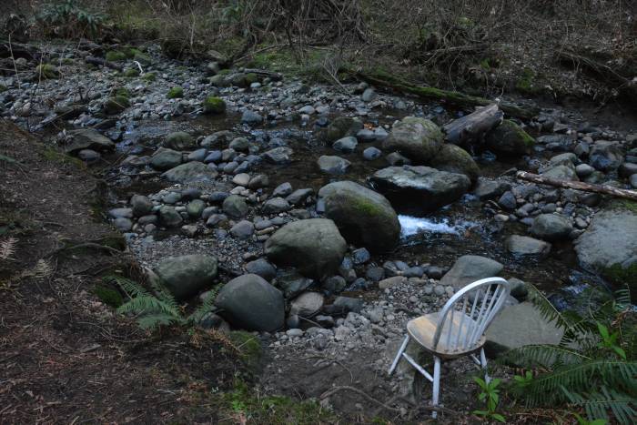 Byrne Creek Fish Survey March 8, 2015