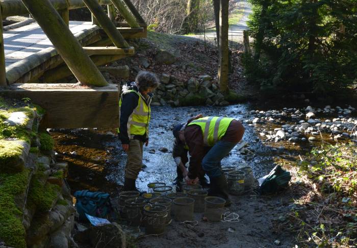 Byrne Creek fish survey