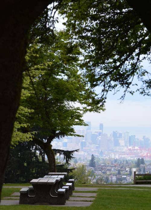 Burnaby Mountain trails