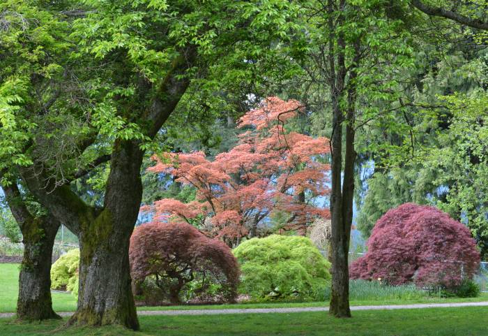 Burnaby Mountain