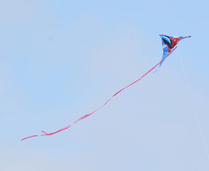 Spiderman kite