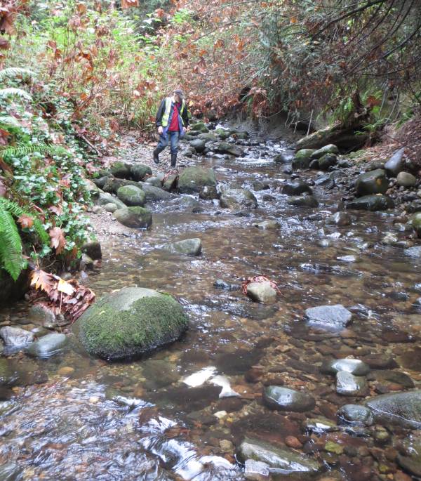 Byrne Creek salmon patrol