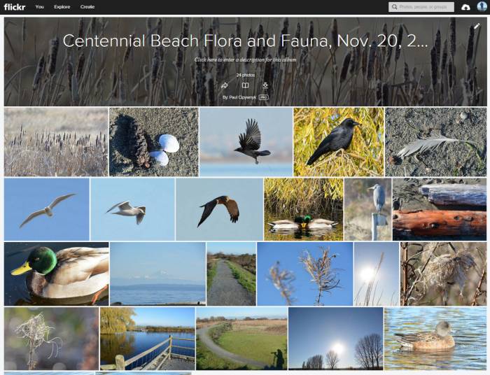 Centennial Beach Flickr album