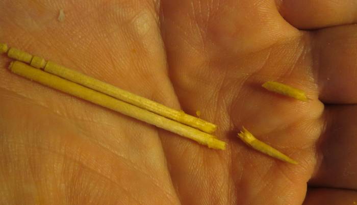toothpicks bitten in pieces