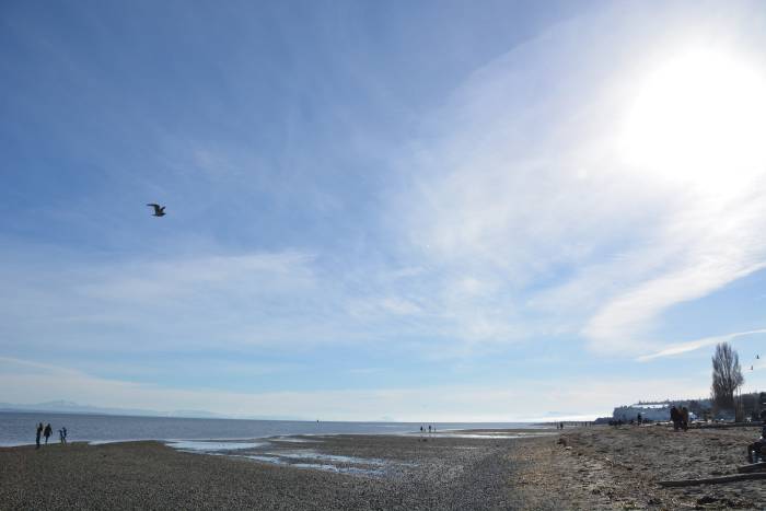 centennial beach tsawwassen