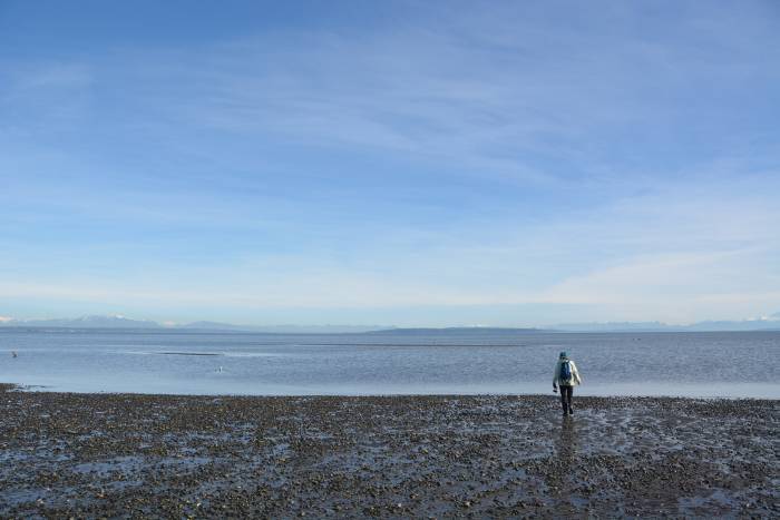 centennial beach tsawwassen