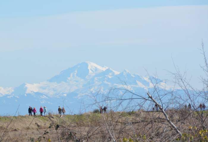 centennial beach tsawwassen