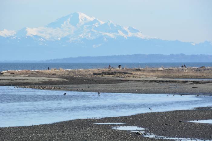 centennial beach tsawwassen