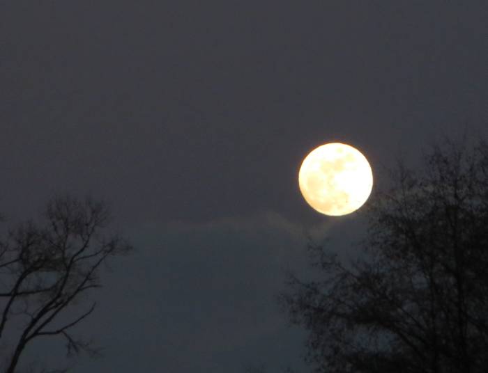 Full moon over Burnaby, BC