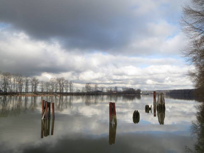 Burnaby Fraser Foreshore clouds