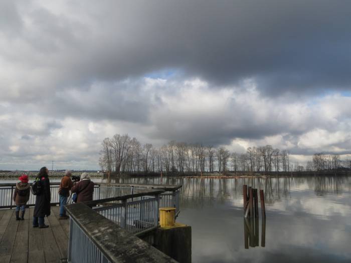 Burnaby Fraser Foreshore Park viewpoint