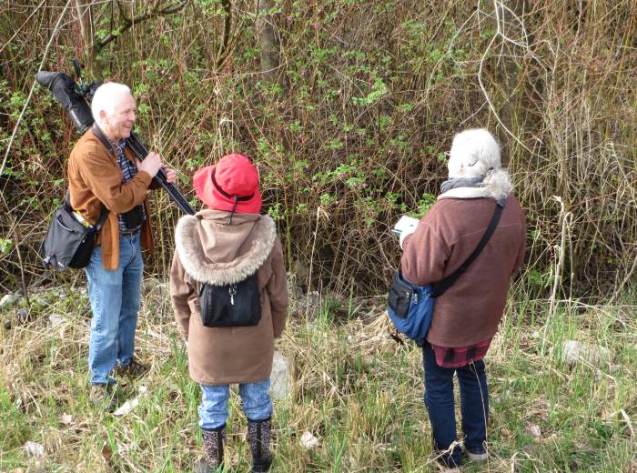 birders