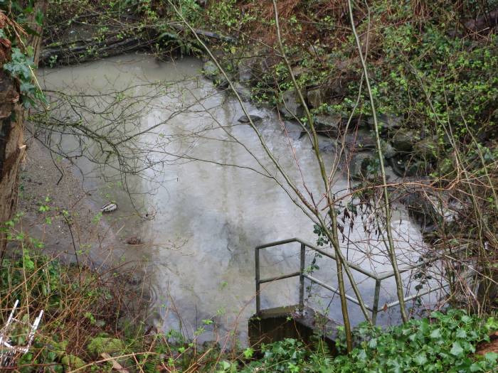 milky green flow in Byrne Creek