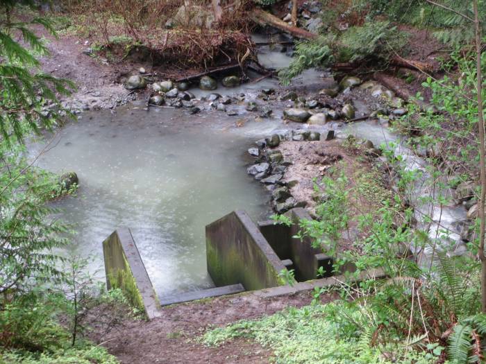 milky green flow in Byrne Creek