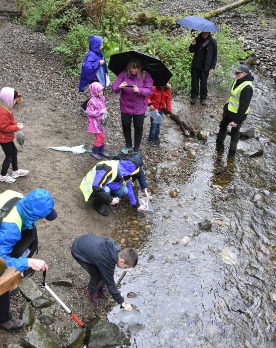 byrne creek chum fry release