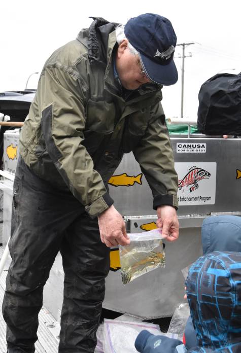 byrne creek chum fry release