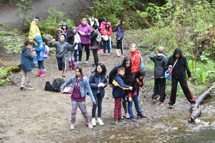 byrne creek chum fry release