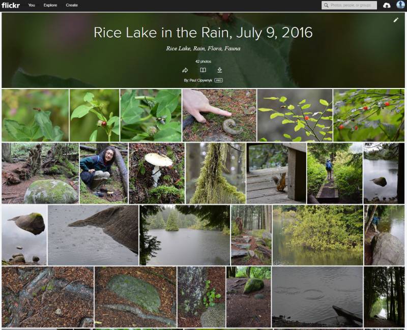 Rice Lake Flickr album