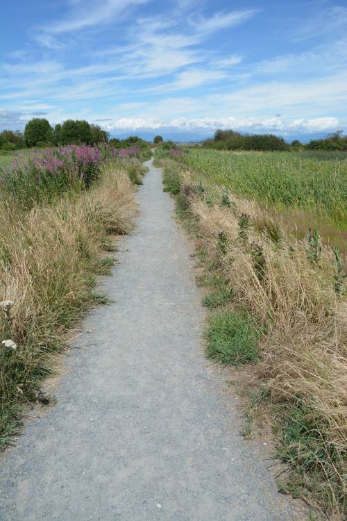 blue sky path