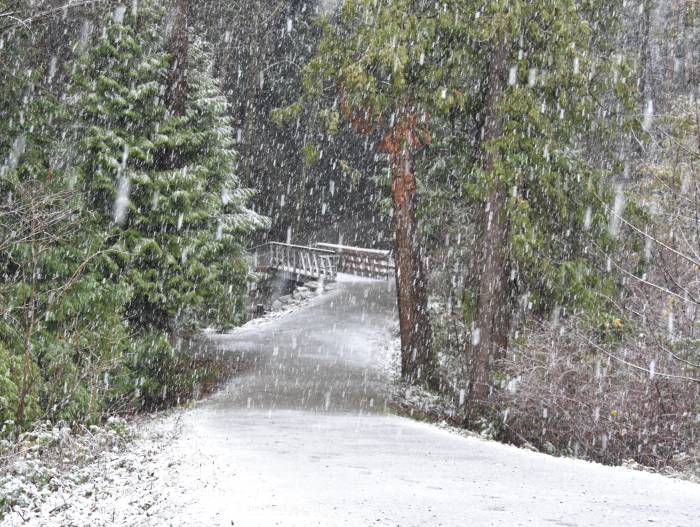 cipywnyk_burnaby_snow_byrne_creek_footbridge_20161204