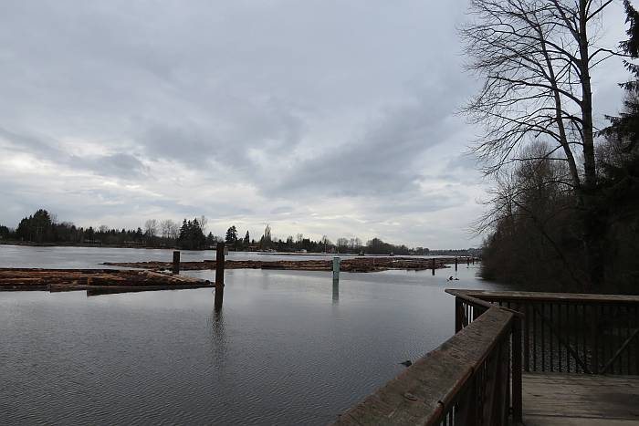 Fraser Foreshore Birding