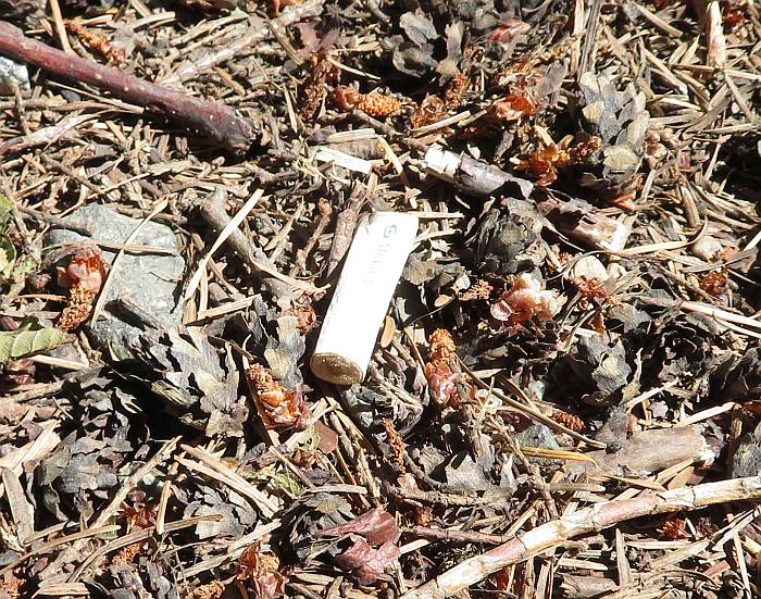 fire ban cigarette butts byrne creek burnaby