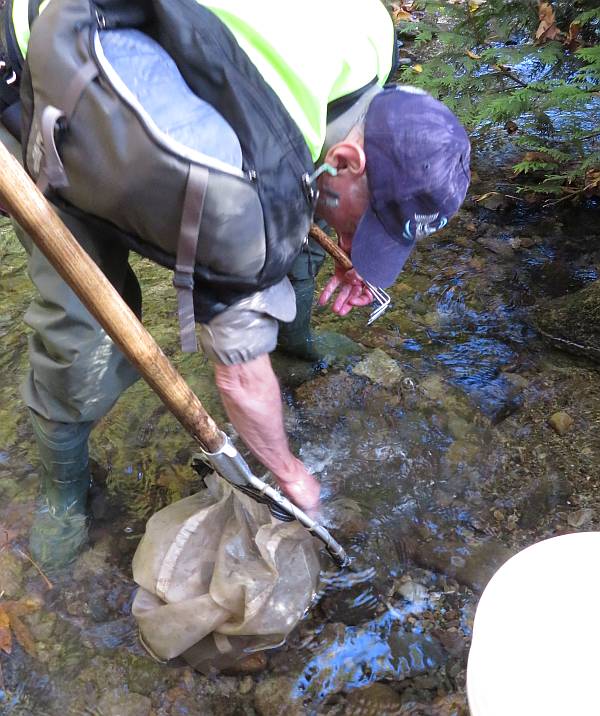 bug count byrne creek