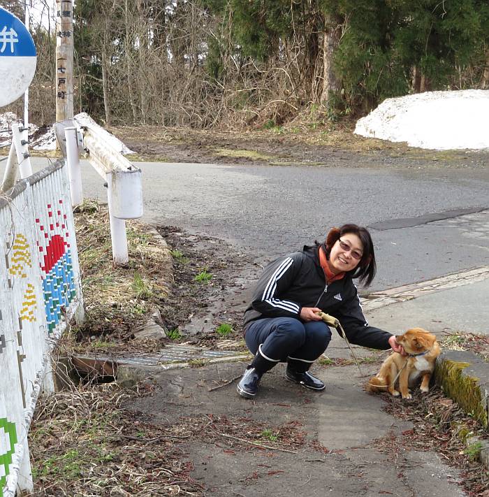 dog walking aomori rice fields