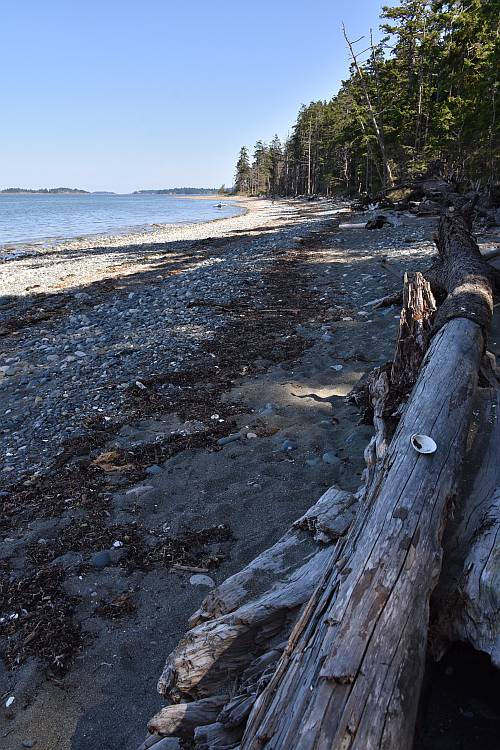 rathtrevor beach provincial park nature