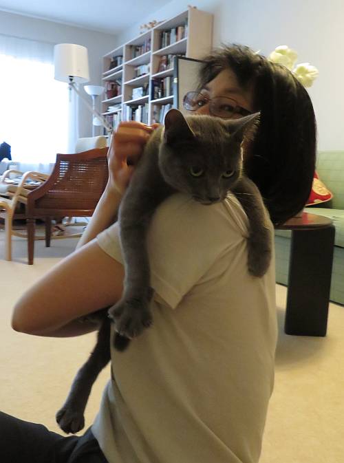 cat rescue Sora first cuddle