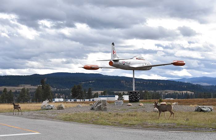 deer princeton airport CT-133