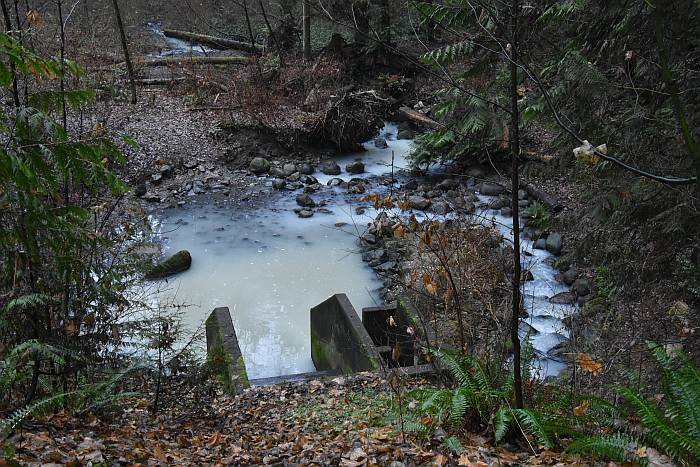 mikly spill byrne creek burnaby bc