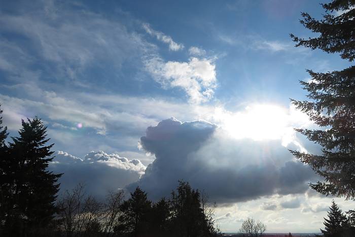 gorgeous south burnaby bc skies