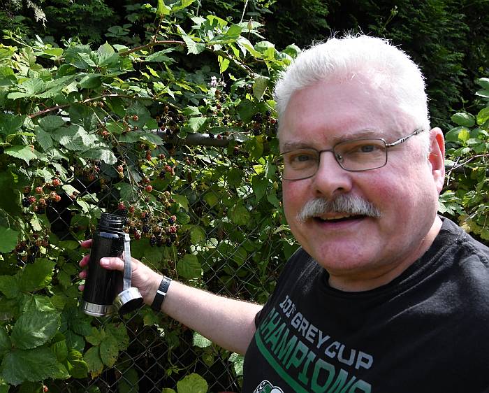 picking blackberries burnaby bc