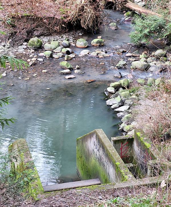 milky byrne creek burnaby bc