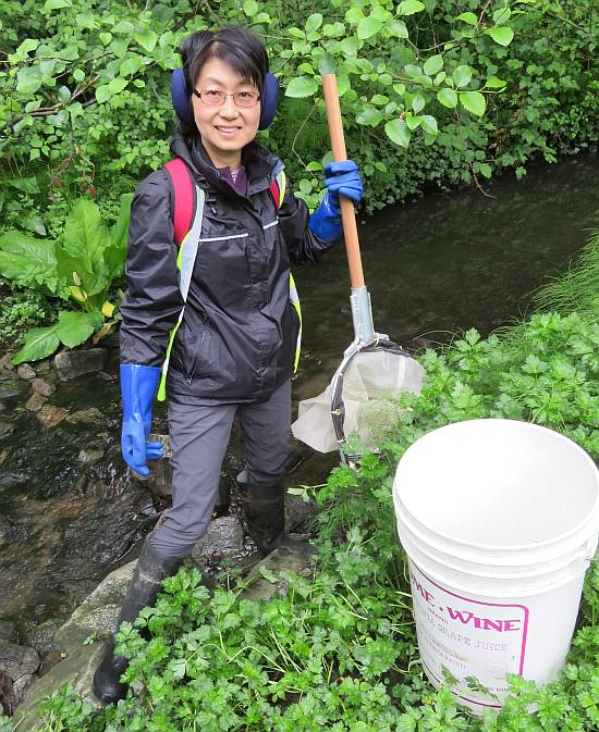 byrne creek streamkeepers bug count burnaby bc