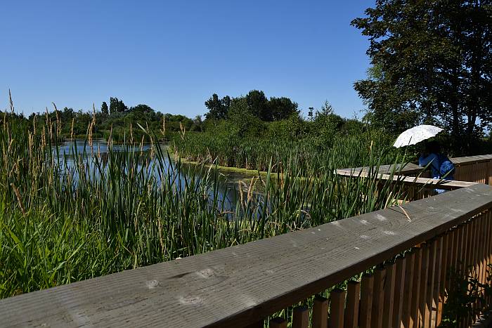 terra nova park richmond bc