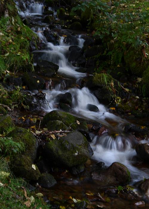 creek Alice Lake Squamish BC