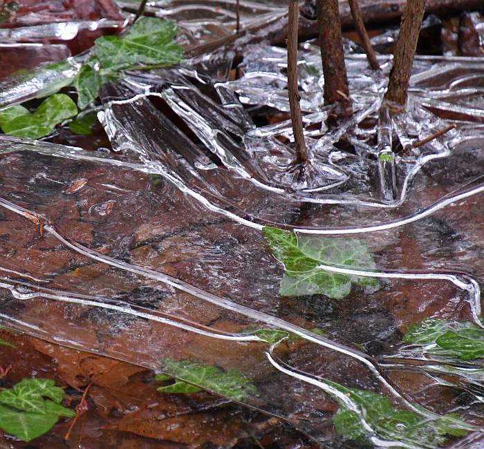 ice patterns byrne creek burnaby bc