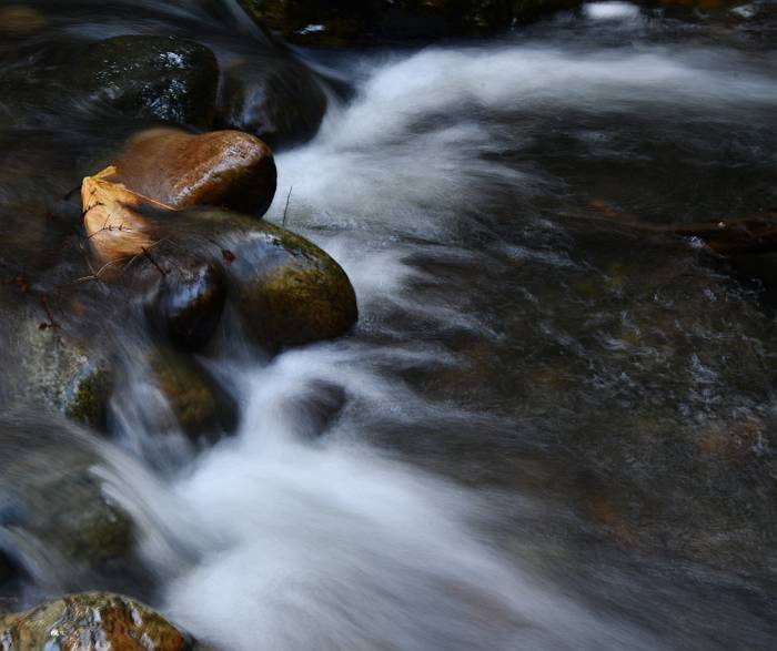 moving water byrne creek burnaby bc