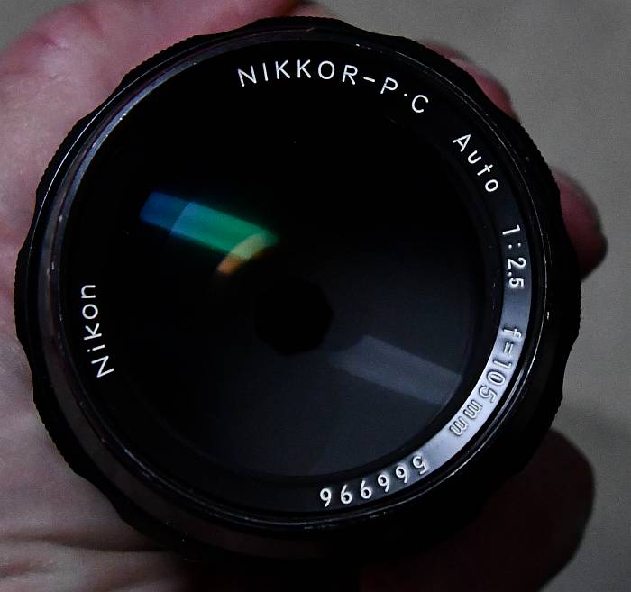 manual nikkor 105/2.5 on Nikon Z50