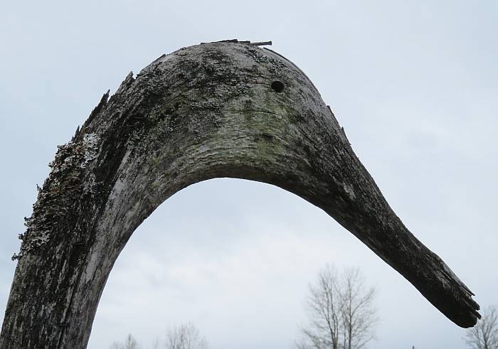 stick bird comox bc